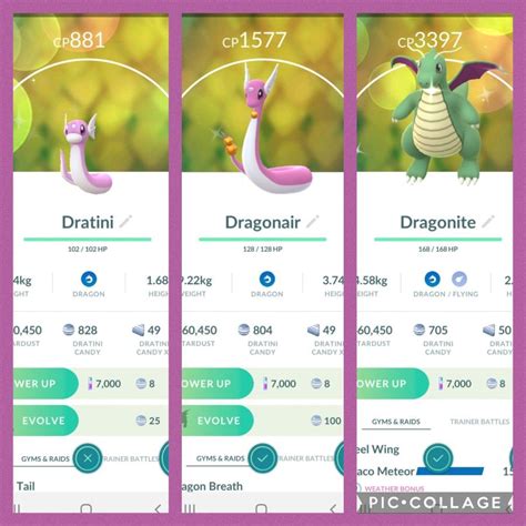 Community Day Classic November Dratini Pokemon Go