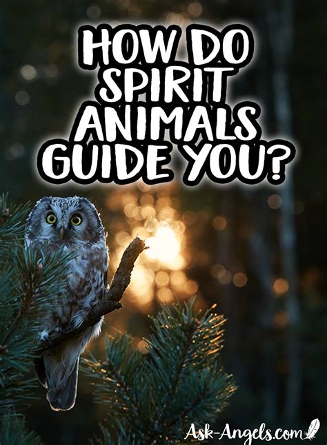 How to Find Out Your Animal Spirit Guides - Ask-Angels.com