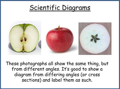 Scientific Diagrams Ks2 Teaching Resources