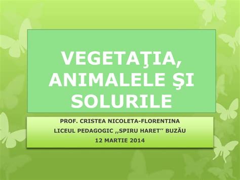 Vegetatia Animalele Si Solurile 2 Ppt