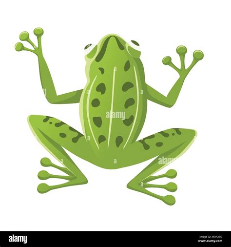 Cute Smiling Green Frog Sitting On Ground Cartoon Animal Design Flat