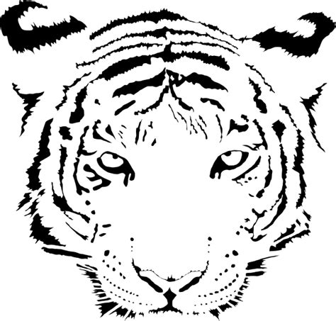 Cartoon White Tiger Face Clip Art Library