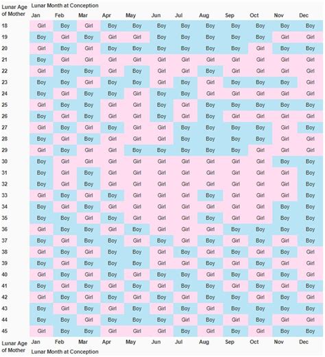 Chinese Gender Calendar 2019 Printable Word Searches