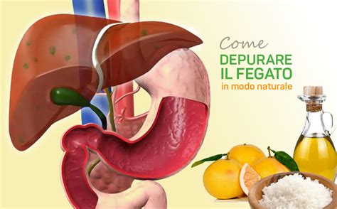 Disintossicazione Di Fegato E Mente In Giorni