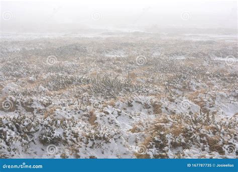 Bleak Winter Landscape with Melting Snow Stock Image - Image of landscape, green: 167787735