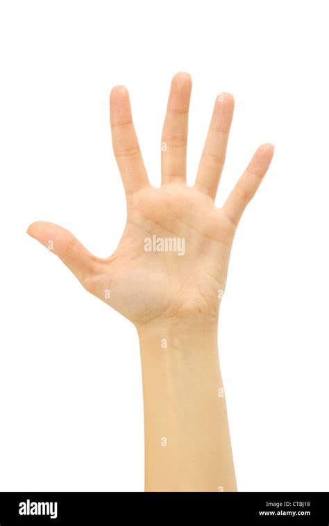 Woman Hand Palm Isolated On White Background Stock Photo Alamy