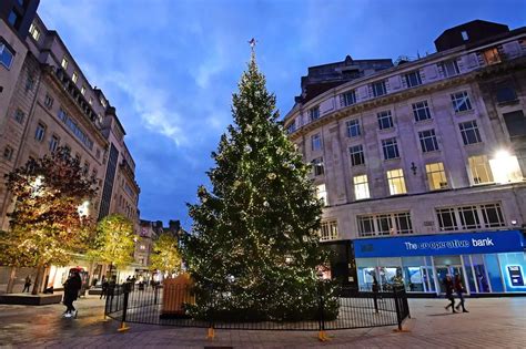 Where To Recycle Your Real Christmas Tree In Liverpool Liverpool Echo