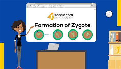 Formation of Zygote | Anatomy Embryology Medical clip