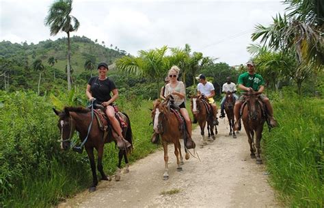 Safari of Fields - Punta Cana - Vacation ON RD