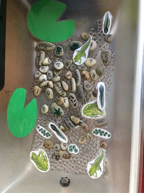 Jack And The Beanstalk Sensory Bin And Story Retelling Activity Artofit