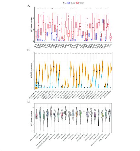 The Transcription Levels Of KIF18B In Various Cancers A The