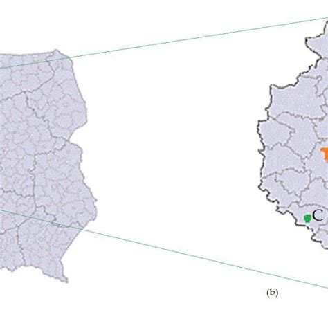 (b) Analysed cities in the Wielkopolskie Province within (a) the