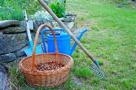 Types Of Garden Rakes Fasci Garden
