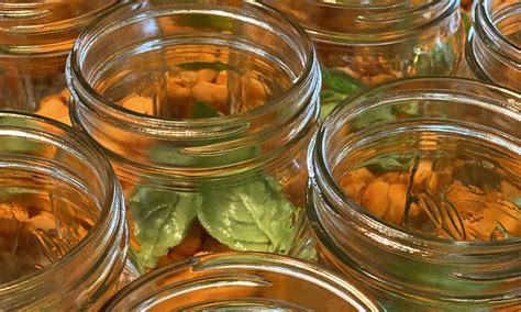 Fresh Healthy And Homemade Preserve With Nesco Food Dehydrators