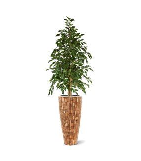 Ficus Exotica Plante Artificielle Deluxe 180 Cm Vert Maxifleur