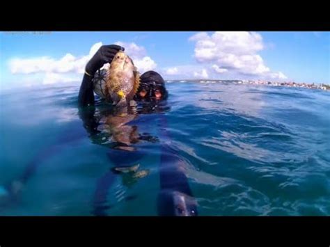 Spearfishing Indonesia Fish Hunting Ikan Baronang Youtube