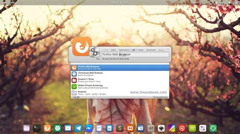 Install Synapse Indicator On Elementary Os Linux App Launcher