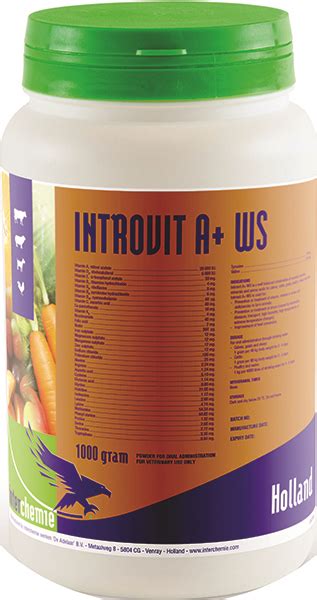 invet.ge - ინტროვიტი A+ WS