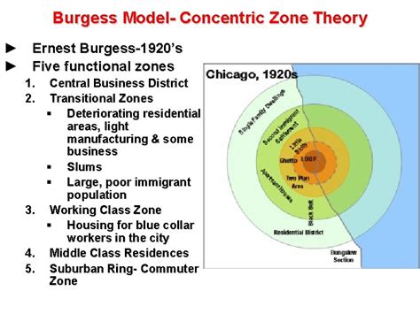 Models of Cities Burgess Model Concentric Zone Theory