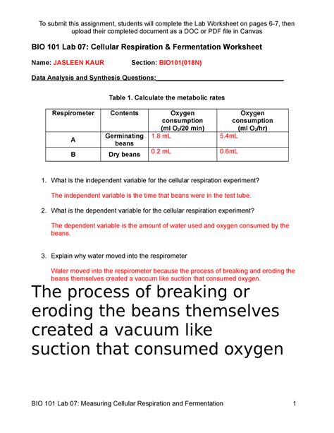 Bio Lab Cellular Respiration And Fermentation Oct Bio