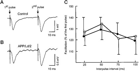 Paired Pulse Facilitation In Hippocampal Slices Paired Pulse