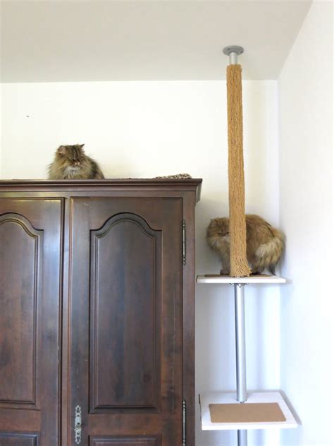 Diy Ikea Stolmen Hack Cat Tree Meow Lifestyle