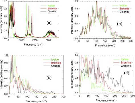 Dynamical Properties Of Organo Lead Halide Perovskites And Their