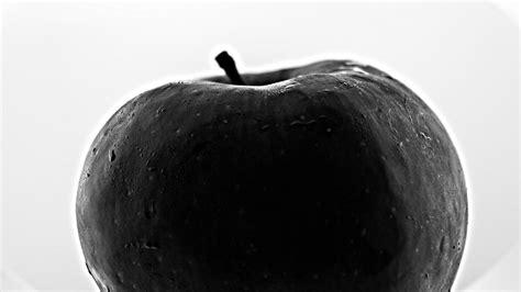 Blanco Y Negro Manzana Foto Gratis En Pixabay Pixabay