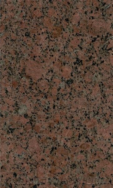 Polished Big Slab Rajasthan Brown Rose Granite Application Area