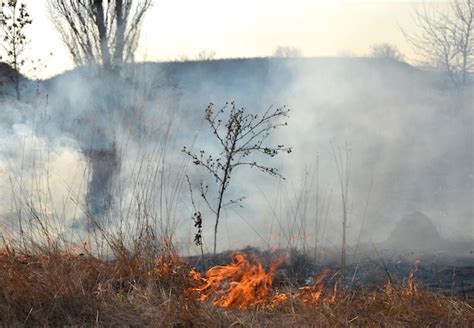 Premium Photo Dry Grass Burning On Field During Day Closeup Burning