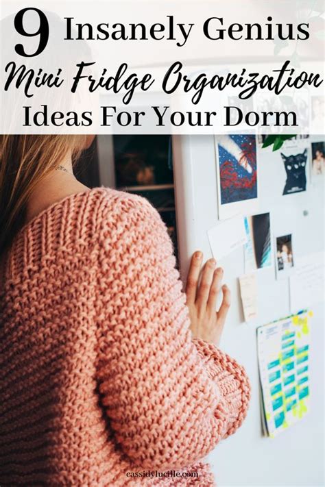 9 Mini Fridge Dorm Organization Ideas How To Organize Your Mini Fridge Cassidy Lucille