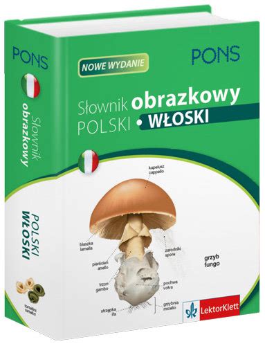 S Ownik Obrazkowy Polsko W Oski Opracowanie Zbiorowe Ksi Ka W Empik