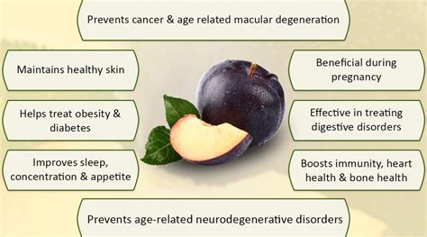 Health Benefits Of Plums Nikki Kuban Minton