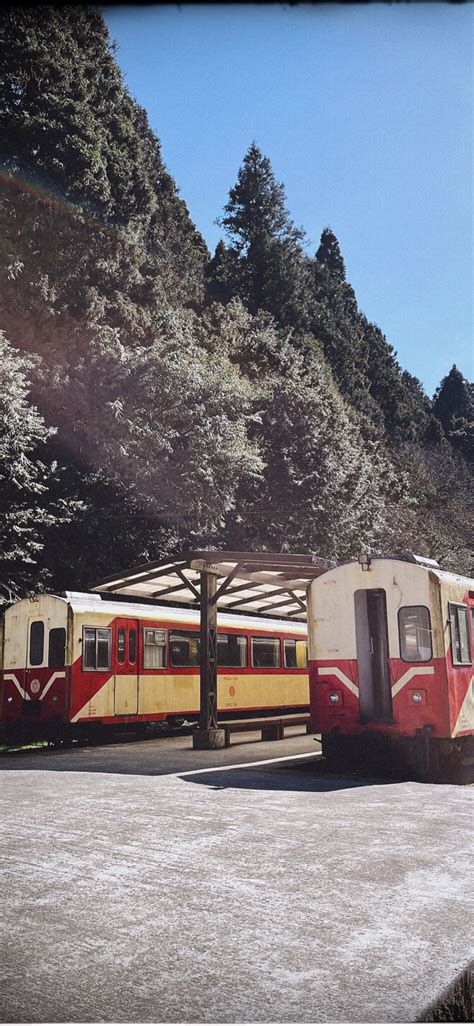 【百年經典森林小火車~限時加贈阿里山遊園車】阿里山二日｜奮起湖and阿里山日出觀景森林小火車｜嘉義出發 Kkday