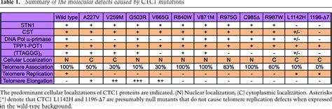 Molecular basis of telomere syndrome caused by CTC1 mutations 