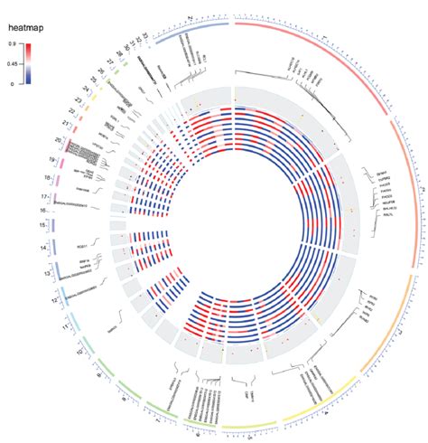 A Circos Plot Of The Genomic Landscape Of The Rna Editing Sites In The