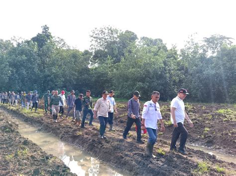 Gubernur Rohidin Tinjau Irigasi Jebol Dan Lahan Sawah Baru Di Desa