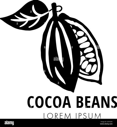 Black Cocoa Beans Logo Icon Isolated On White Background Chocolate