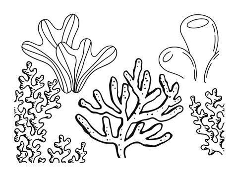 Coral Reef Coloring Pages