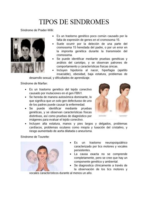 Tipos De Sindromes Descargar Gratis Pdf Medicina Clinica