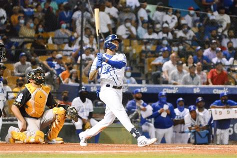 La Gloriosa Evolución De Sergio Alcántara El Mejor Pelotero Del Licey