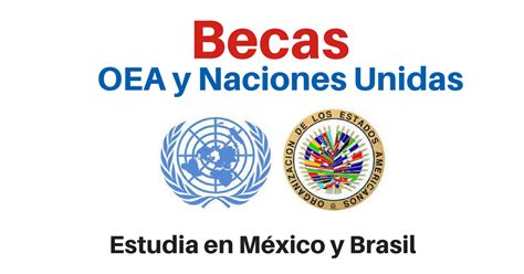 Becas De La Oea Y Naciones Unidas Más Oportunidades