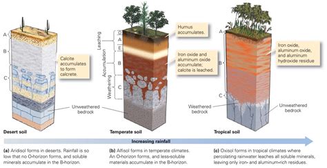 Soil Learning Geology