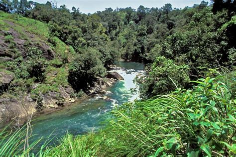 83 Most Beautiful Images In Silent Valley National Park Kerala India