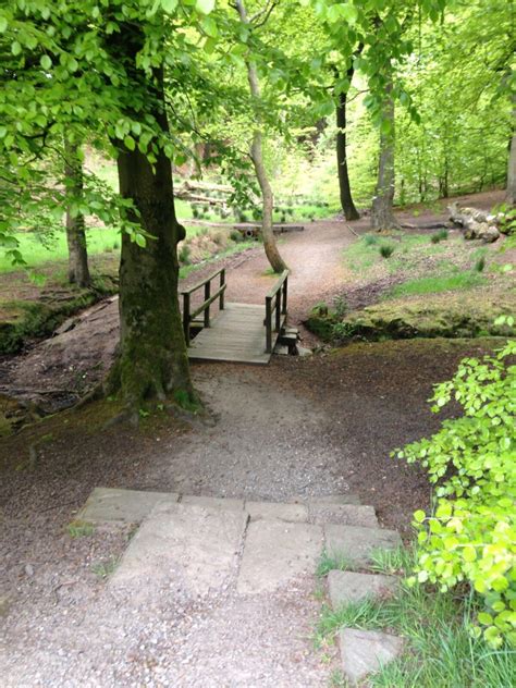 Dog Walk At Tandle Hill National Park · Lancashire · Walkiees