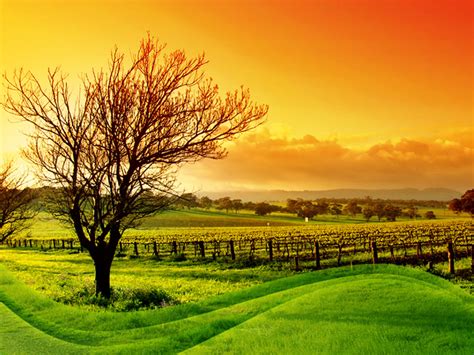 Fondos De Naturaleza Para Presentaciones De Powerpoint