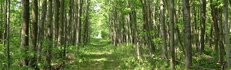 North Kettle Moraine Trail 120 Reviews Map Wisconsin Alltrails