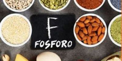 Fosforo Alimentos