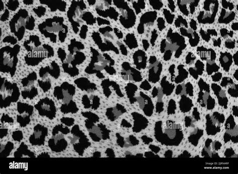 black and white leopard print fabric Stock Photo - Alamy