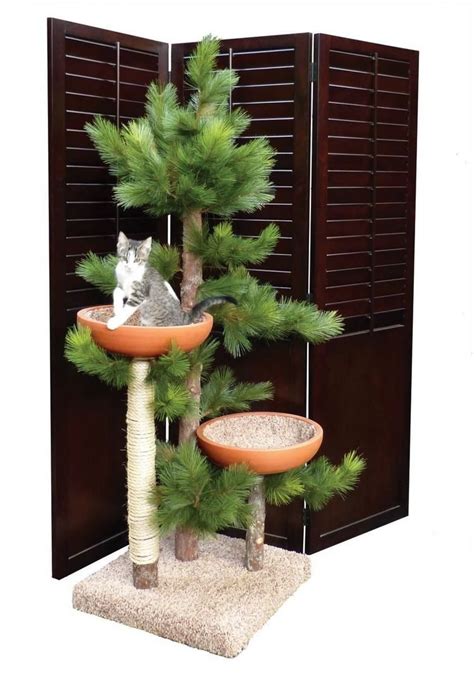 Arbre à Chat Design Modèles Variés Et Conseils Pratiques Cat Tree